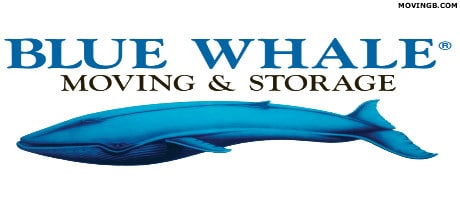 Blue Whale Local Movers In Austin TX