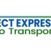 Direct Express Auto Transport Logo