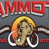 Mammoth Van lines - California Movers